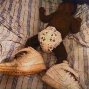 Meet your Posher, Tony